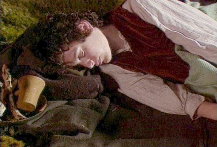 Frodo Sleeping LOTR